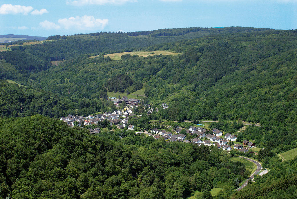 Landhotel Weinhaus Treis Weinähr Exteriör bild