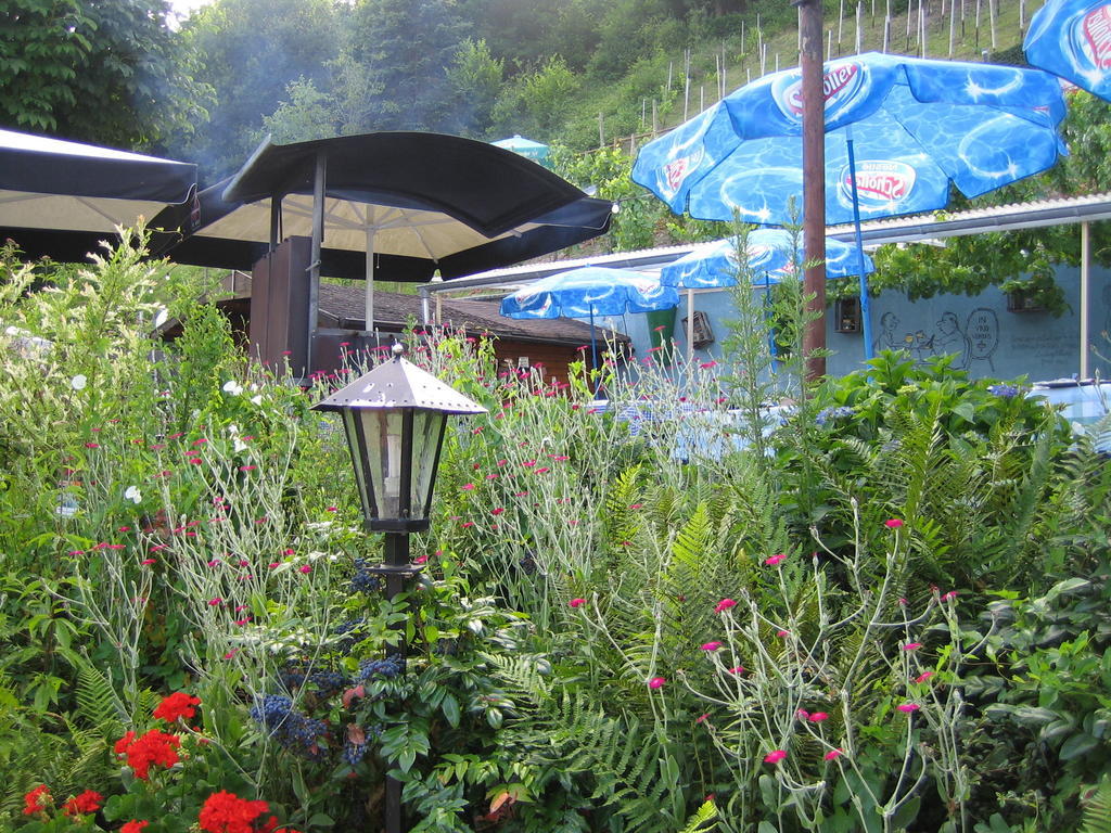 Landhotel Weinhaus Treis Weinähr Exteriör bild